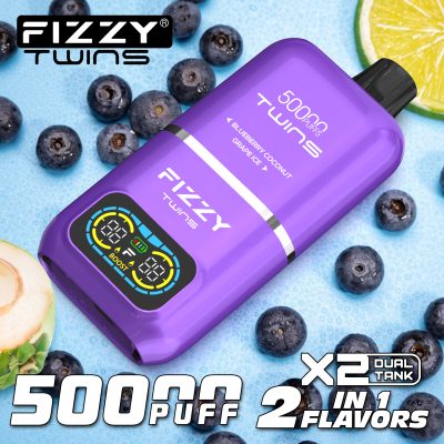 Fizzy Twins Blueberry Coconut & Grape Ice – 50000 Puffs – 10pcs